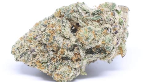 Mint Chocolate Chip is an evenly balanced hybrid (50% indica/50% sativa) strain created through crossing the delicious SinMint Cookies with the infamous Green Ribbon BX strain. . Gelato cake allbud